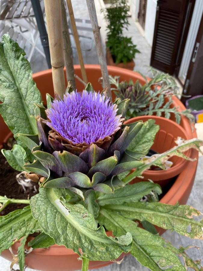 Officinale Rome Apartment, Pineta Sacchetti מראה חיצוני תמונה