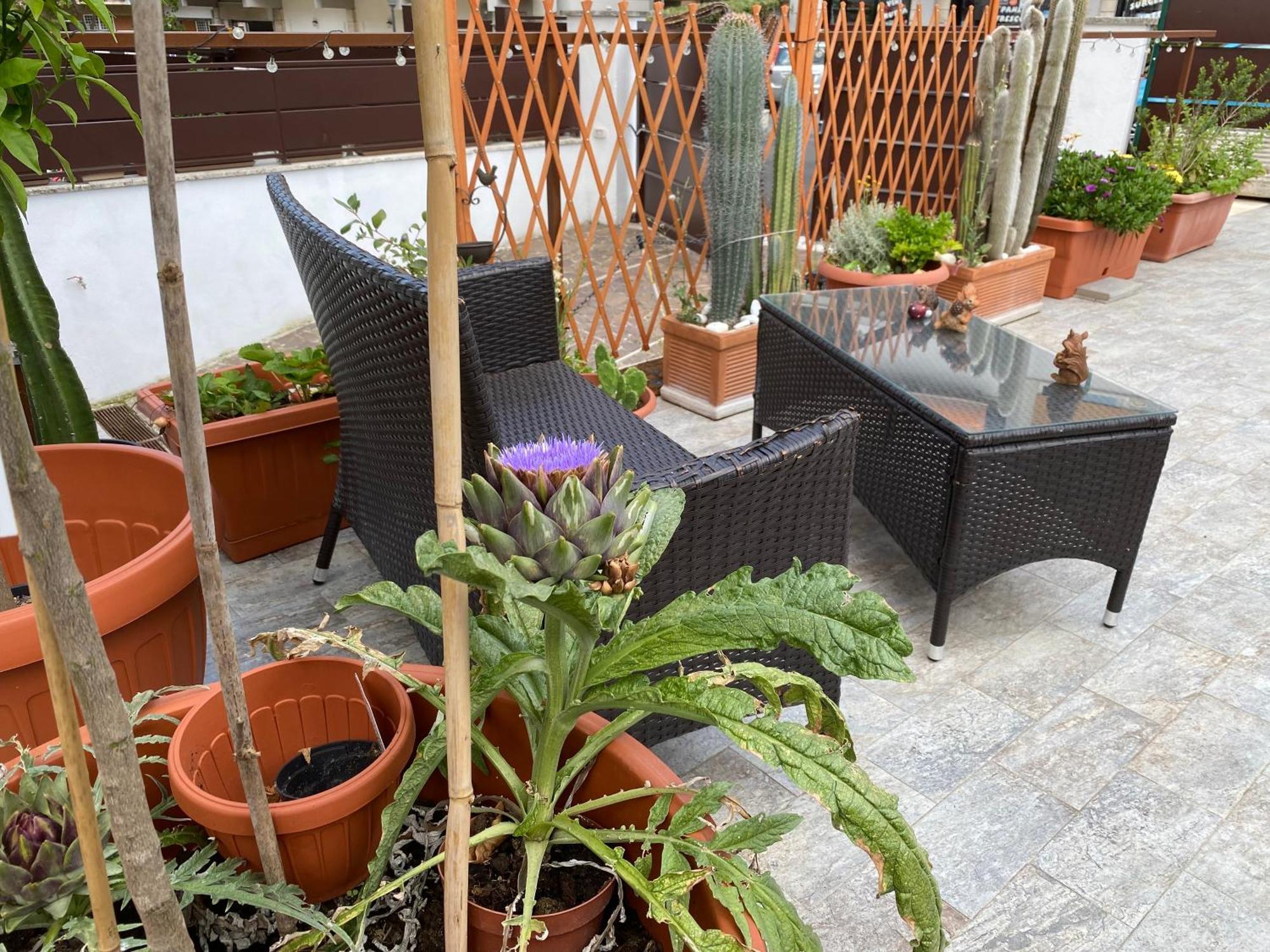 Officinale Rome Apartment, Pineta Sacchetti מראה חיצוני תמונה